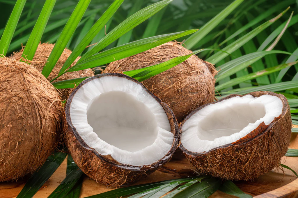 Coconut Milk: sorting & processing