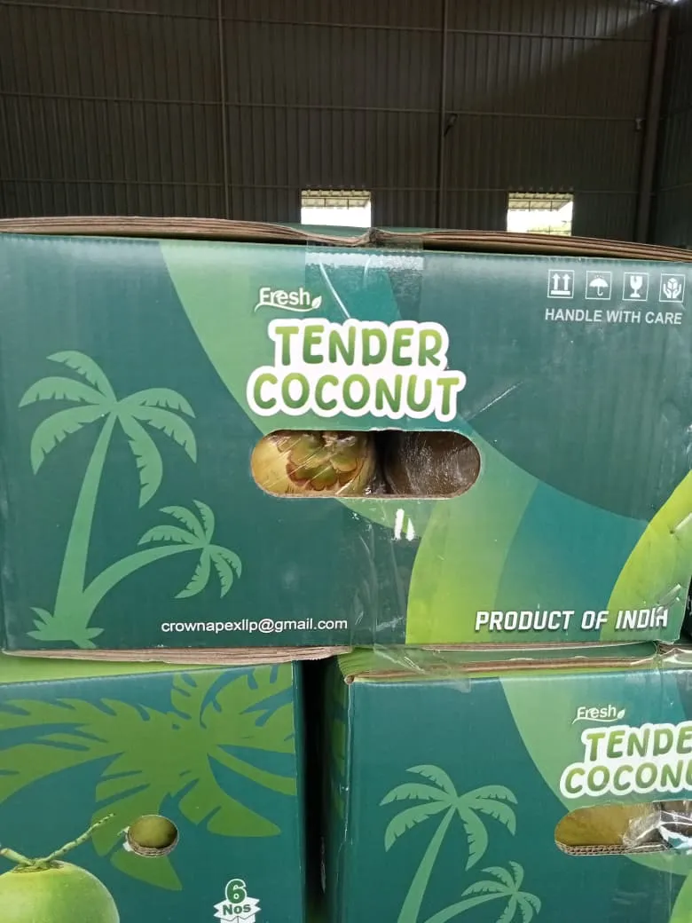 Shredded Coconut: packing & dispatch