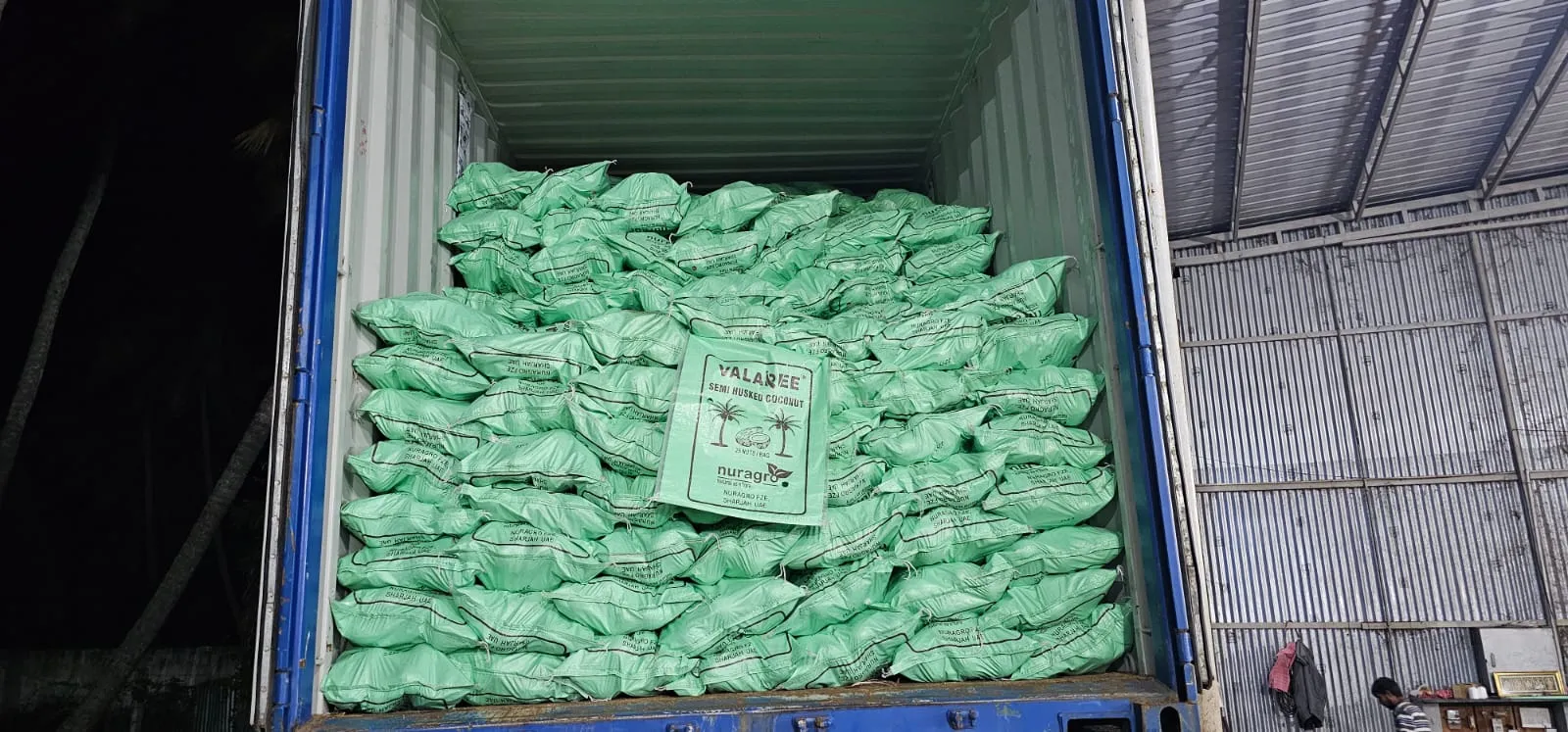Desiccated Coconut (DC) Powder: sorting & processing