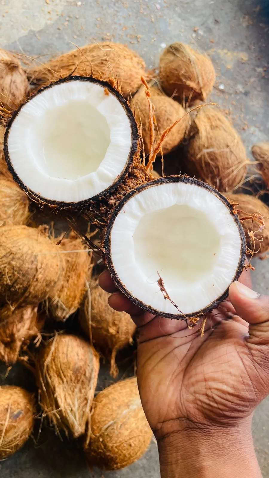 Coconut Oil: sorting & processing