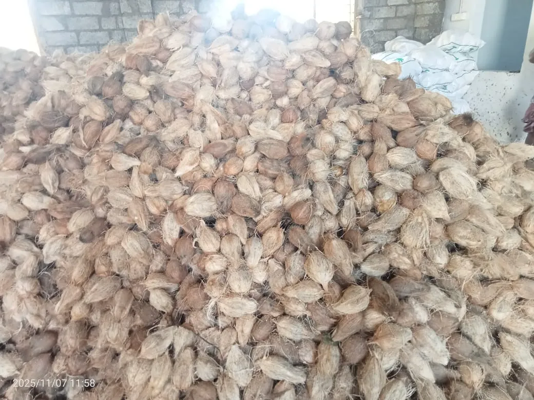 Cocopeat: packing & dispatch