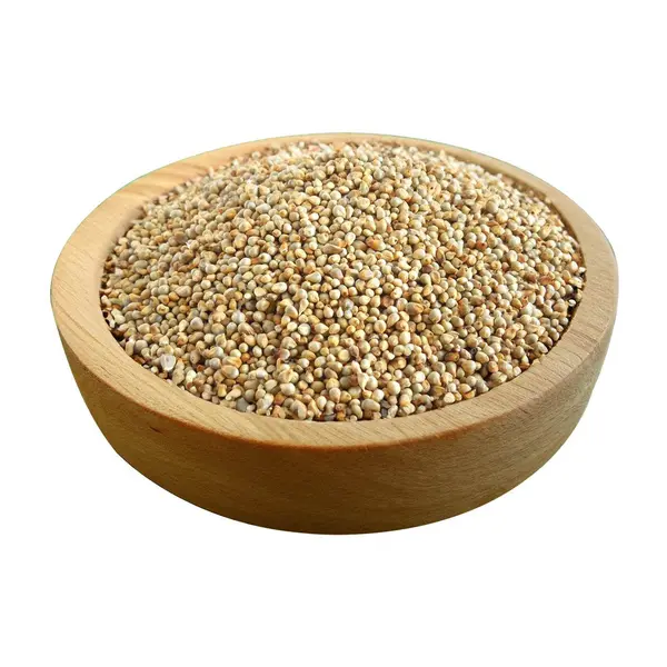 Pearl Millet