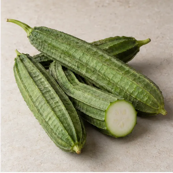 Ridge Gourd
