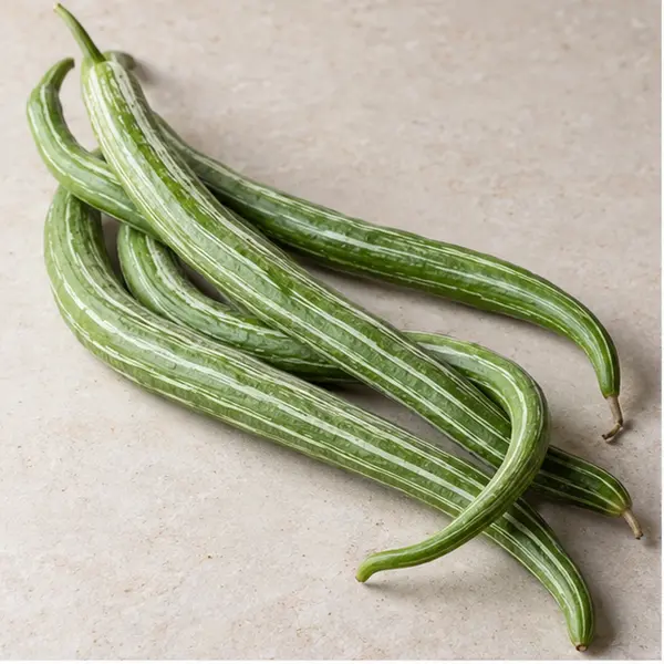Snake Gourd