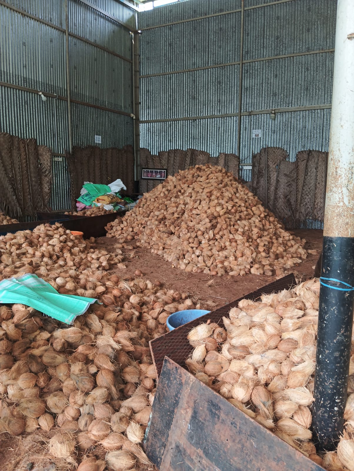 Coconut Milk Powder: packing & dispatch