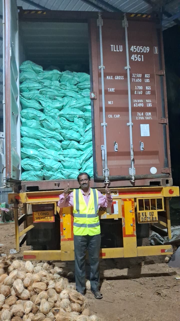 Semi Husked Coconut: packing & dispatch