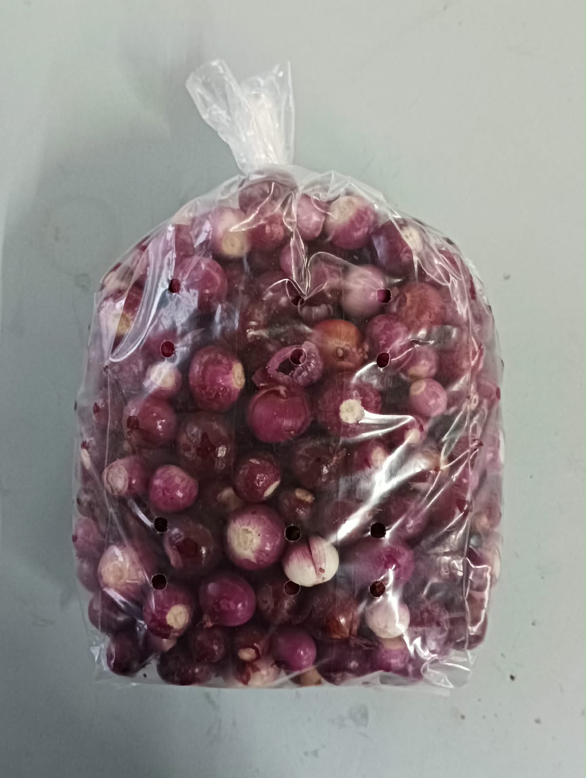 Big Onion: source & farming