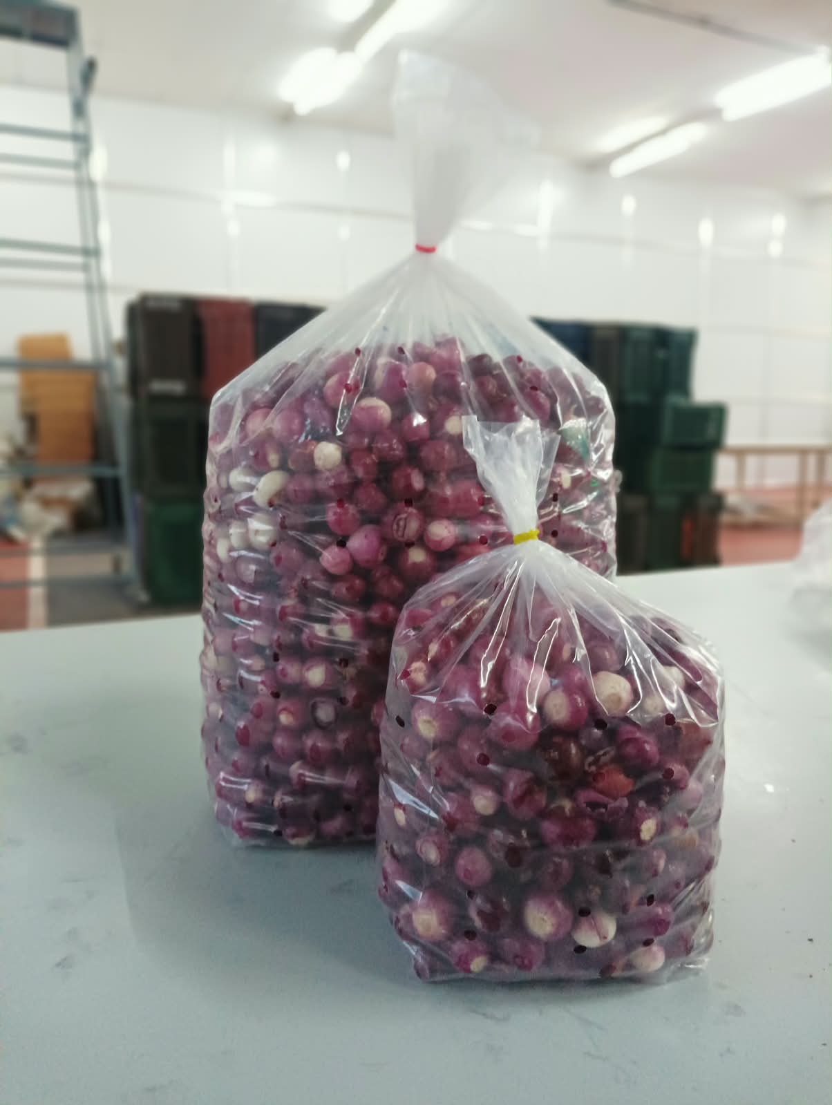 Small Onion (Shallots): sorting & processing
